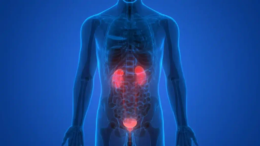 نسبة الشفاء من سرطان الحالب