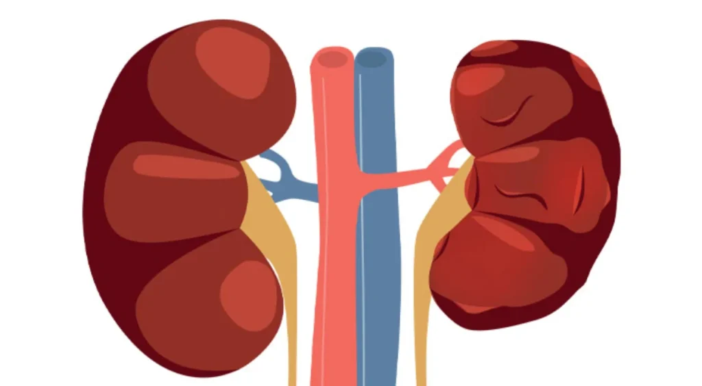 أحدث علاج للفشل الكلوي