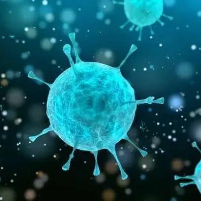 Ureaplasma acute and chronic infection of the bladder in women and prostate in men, Etiology, Diagnosis, Treatment and Prevention