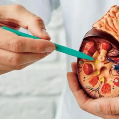 أعراض الحصوة في المسالك البولية